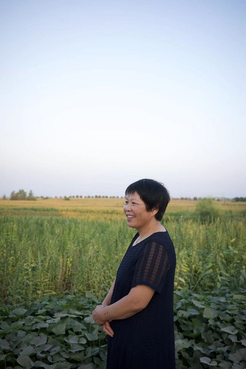 Han shimei next to fields of crops, female poet in rural china