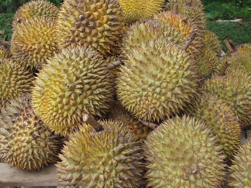 1200px-Durian.jpg