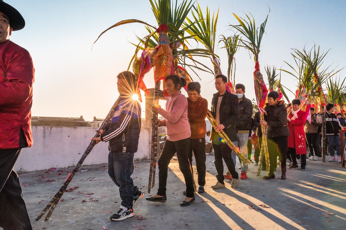 Each family’s representative carries their sugarcane stick in the parade