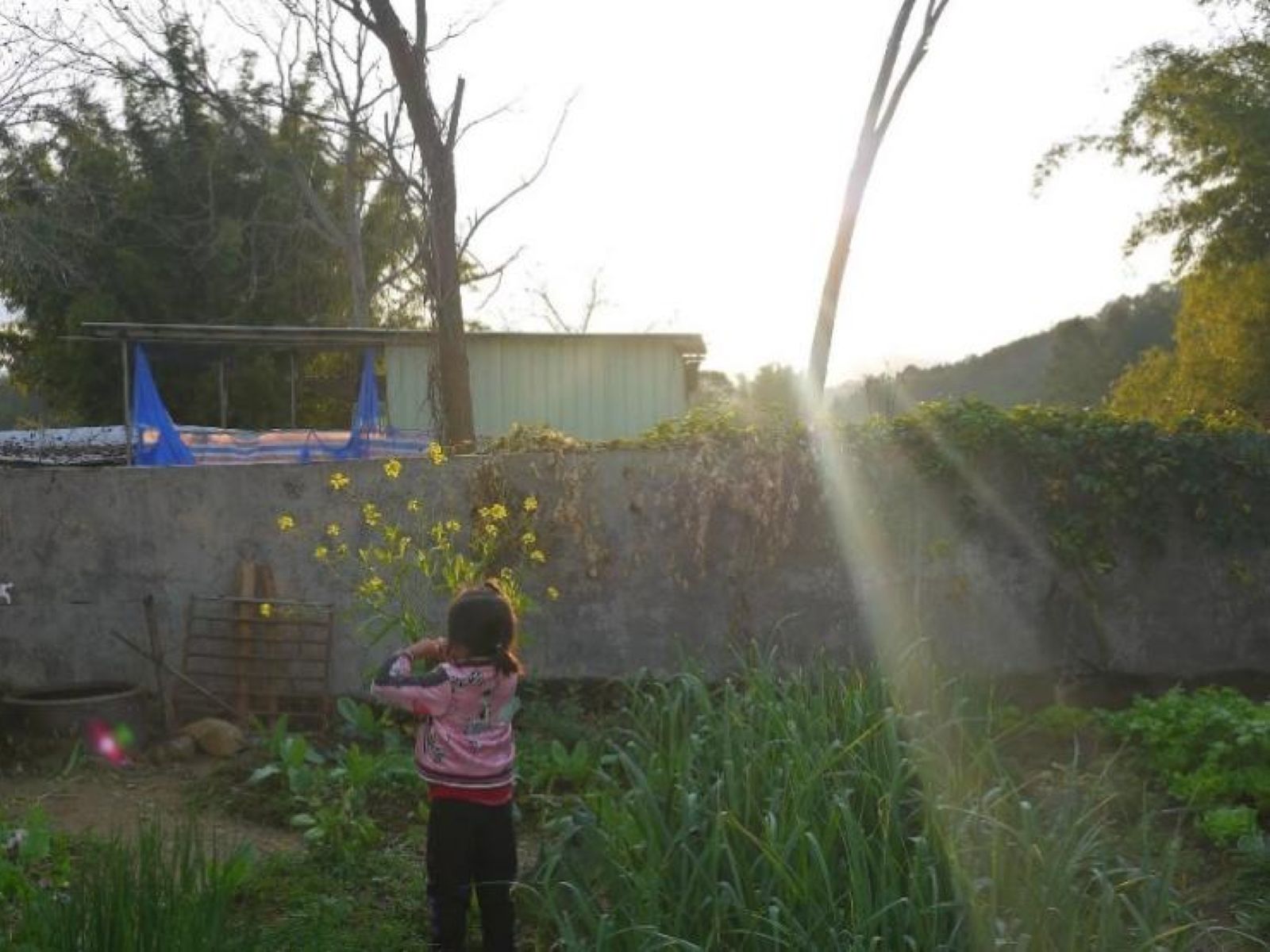 2.ZaiYuanZiLiZhaiYouCaiHuaDeXiaoNuHai.original