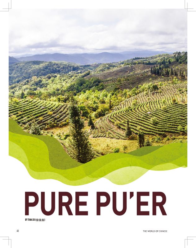 "Pure Pu'er" is a story from High Steaks that explores the tea harvesting in Yunnan.
