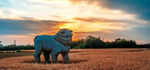 Song Dynasty Lion