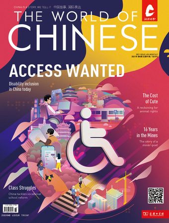 Access Denied Magazine Cover
