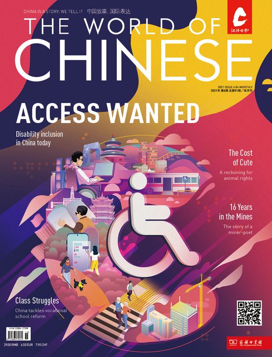 Access Denied Magazine Cover
