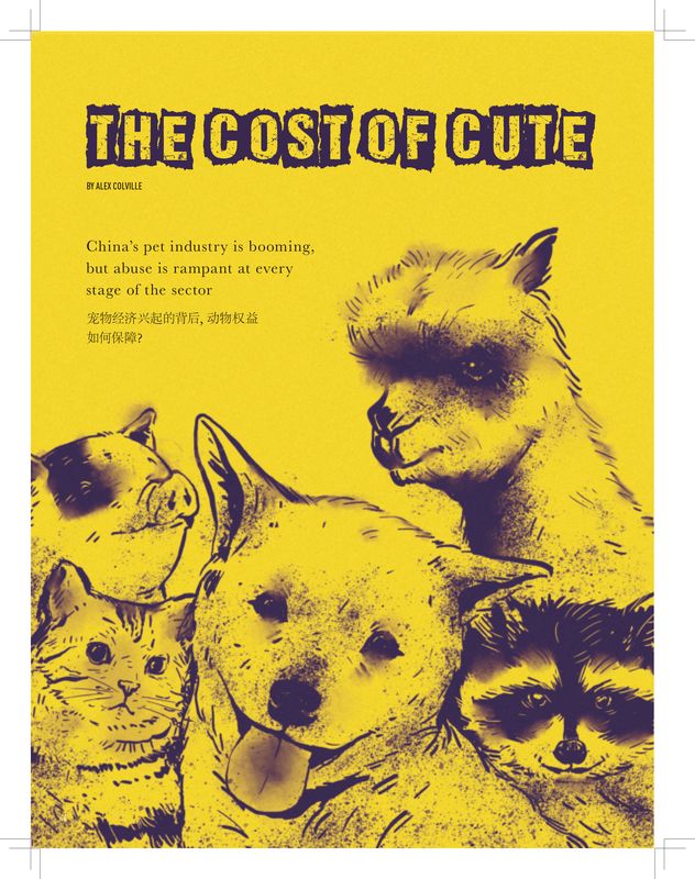 The Cost of Cute, a story from "Access Wanted" examines the pet industry in China.