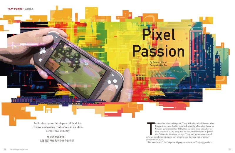 Pixel Passion Cover
