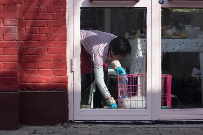 Sister He cleaning inside a house