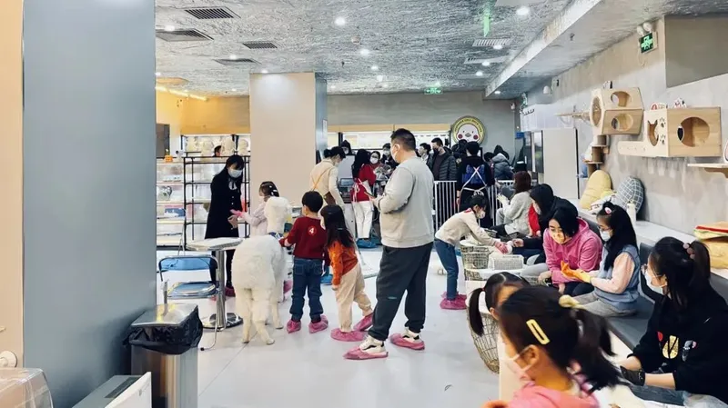 The pet store in February 2022