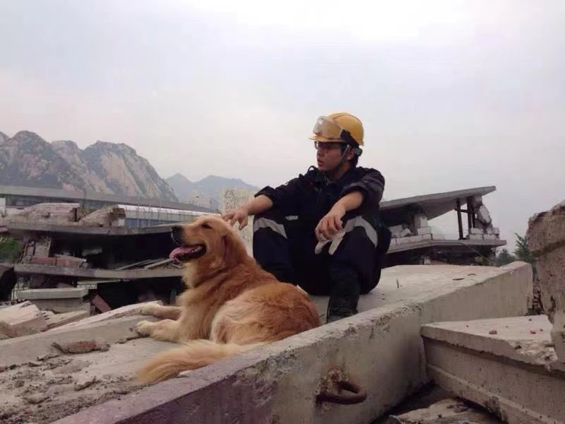 Search-and-rescue dog and trainer in China