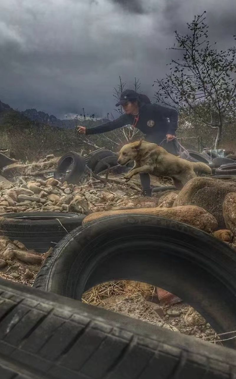 Search-and-rescue dog training with trainer in China