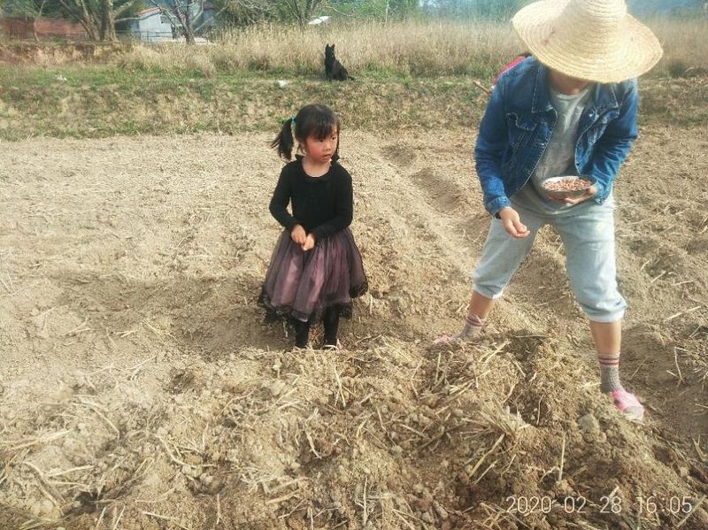 A child learning how to farm the land