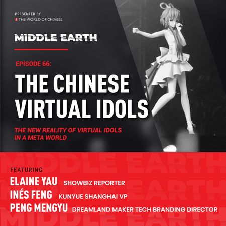 66 The Chinese Virtual Idols 1_1