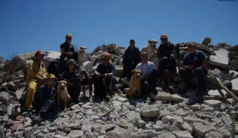 Zhong Ming and his team studying and training search and rescue dogs abroad