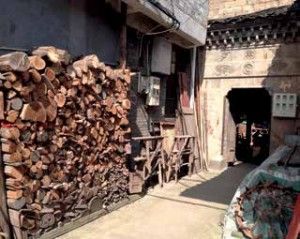 Fresh lumber often accompanies local houses so that they can readily bake their tea leaves