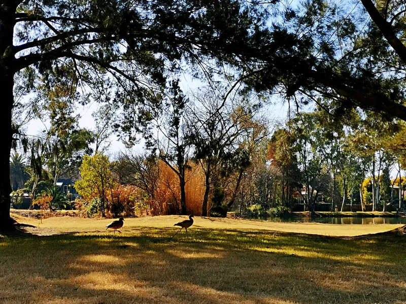 View of a South African park