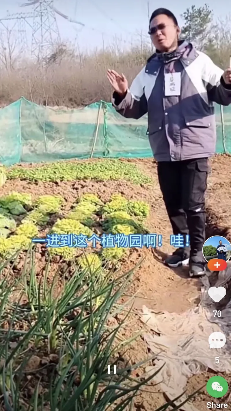 Zhang stands in the vegetable garden