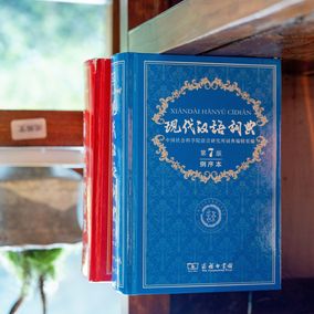 reverse Chinese dictionary-cover