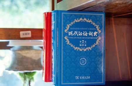 reverse Chinese dictionary-cover