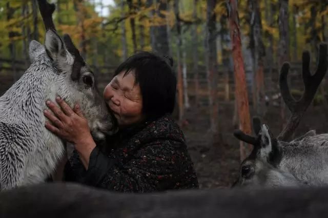 Liuxia and a reindeer