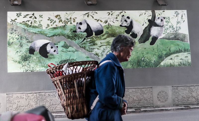 Panda imagery is everywhere in towns and villages near the bears’ habitat (Shao Yefan)