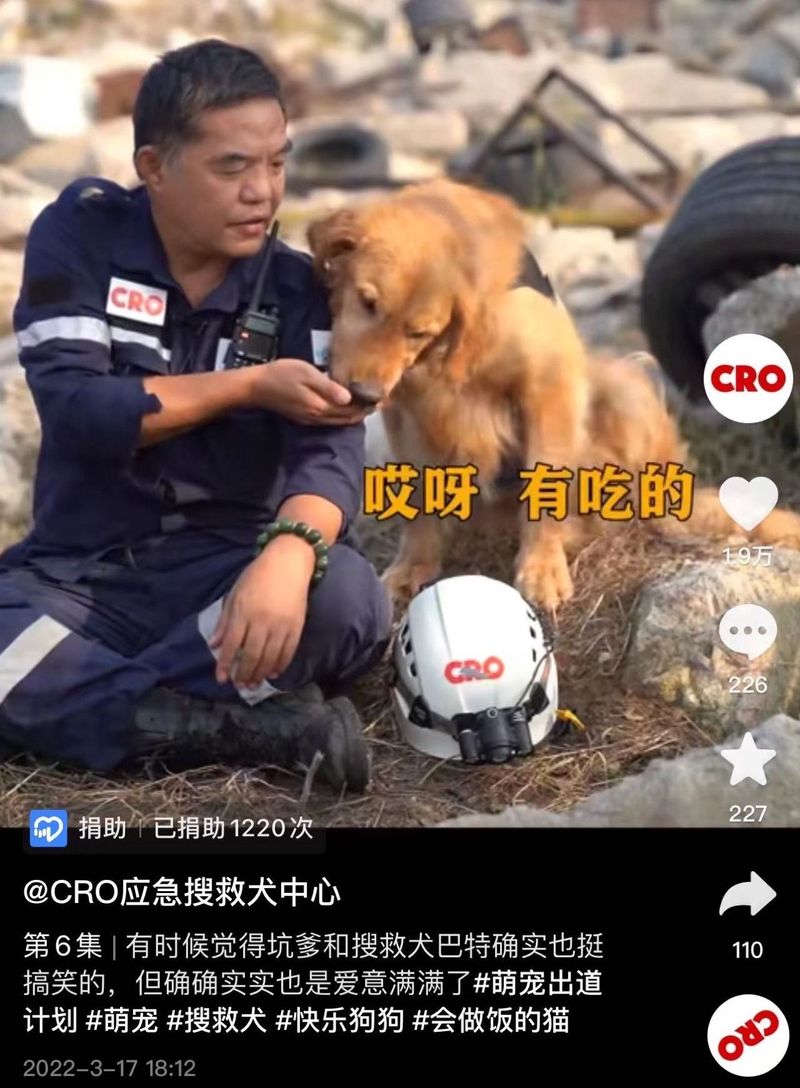 Search-and-rescue dog and trainer in China