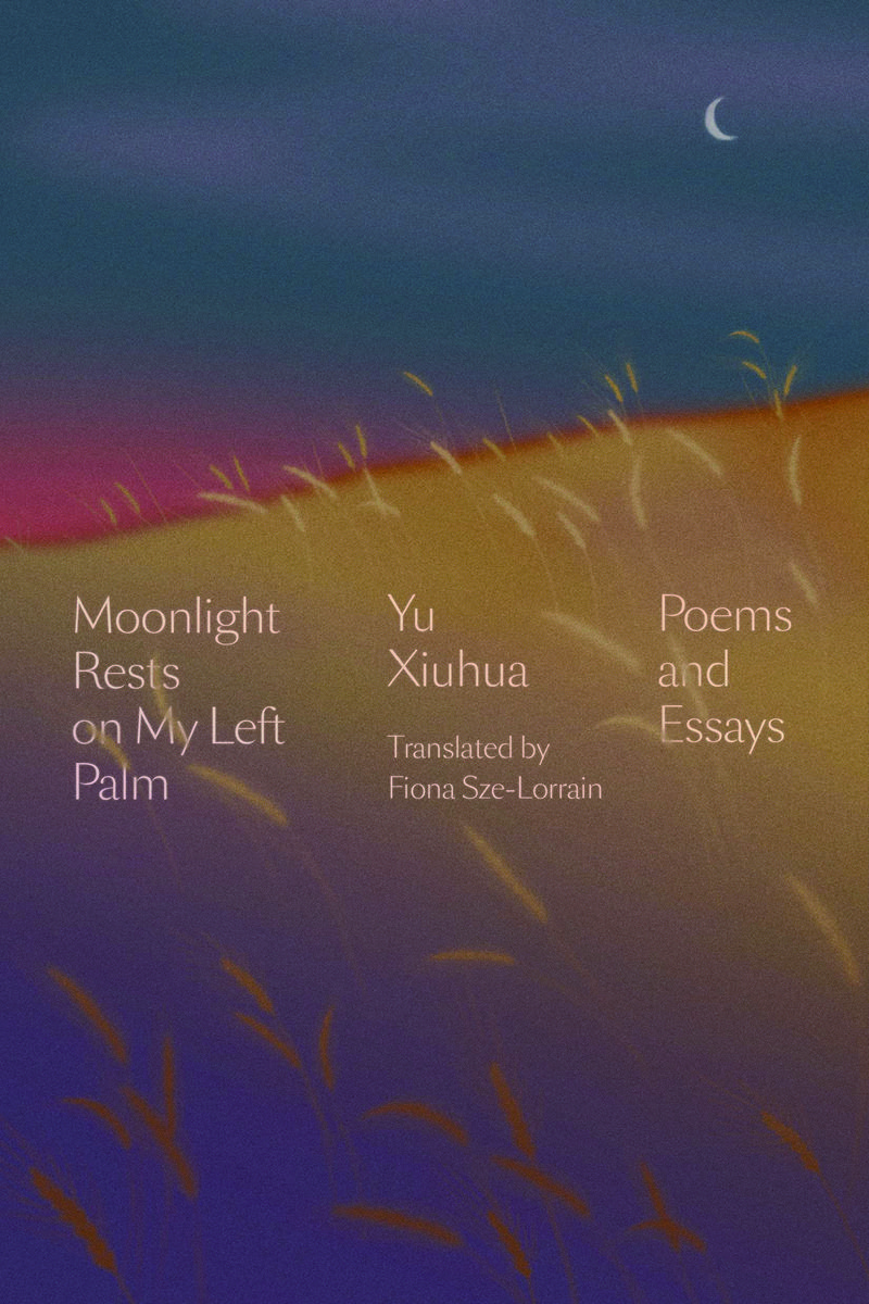 Moonlight Rests On My Palm by Yu Xihua