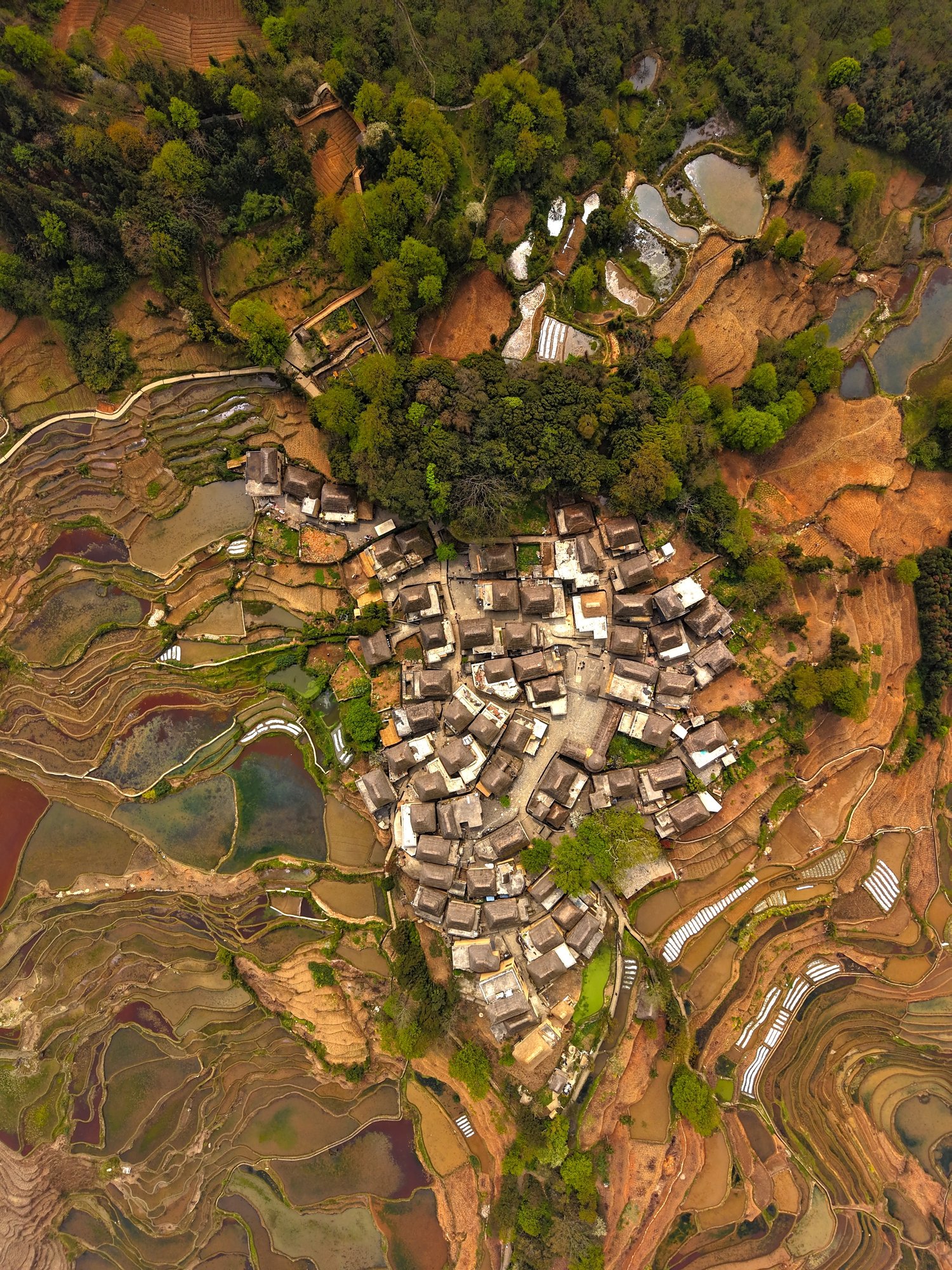 Azheke’s Shared Prosperity: From Remote Hamlet to Global Spotlight