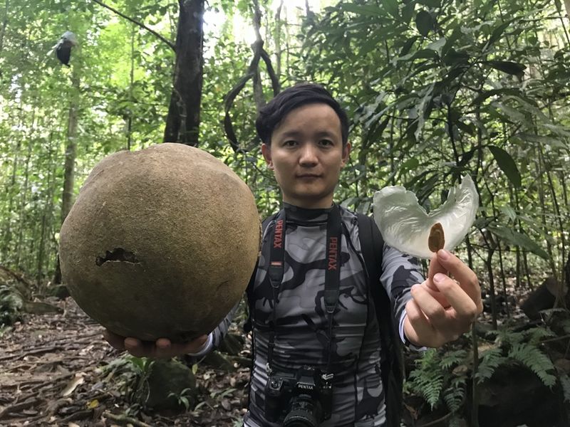 fruit hunter yang xiaoyang holding an Indonesian rare fruit