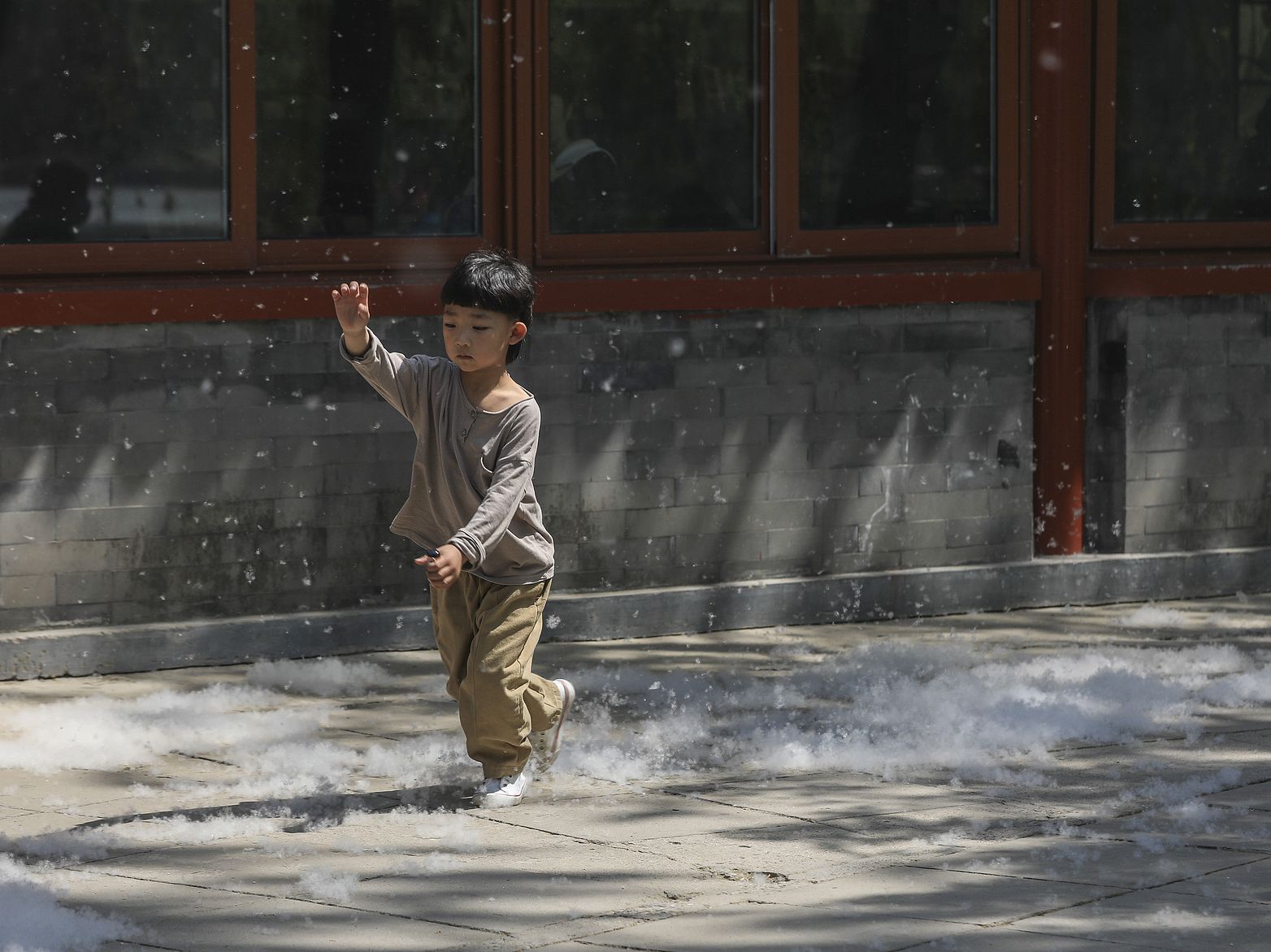 Beijing boy playing in catkin outside