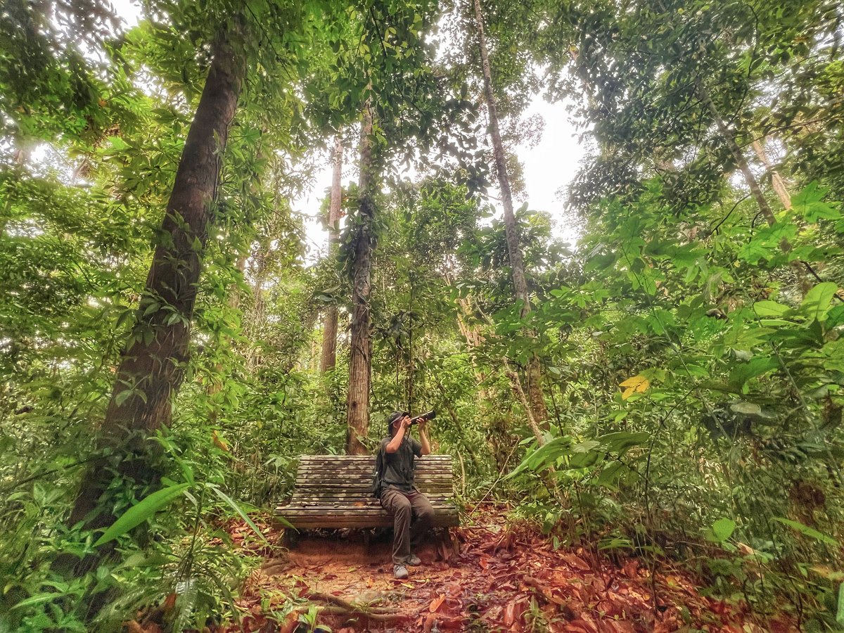 Wang Pan during a birding trip in Malaysia