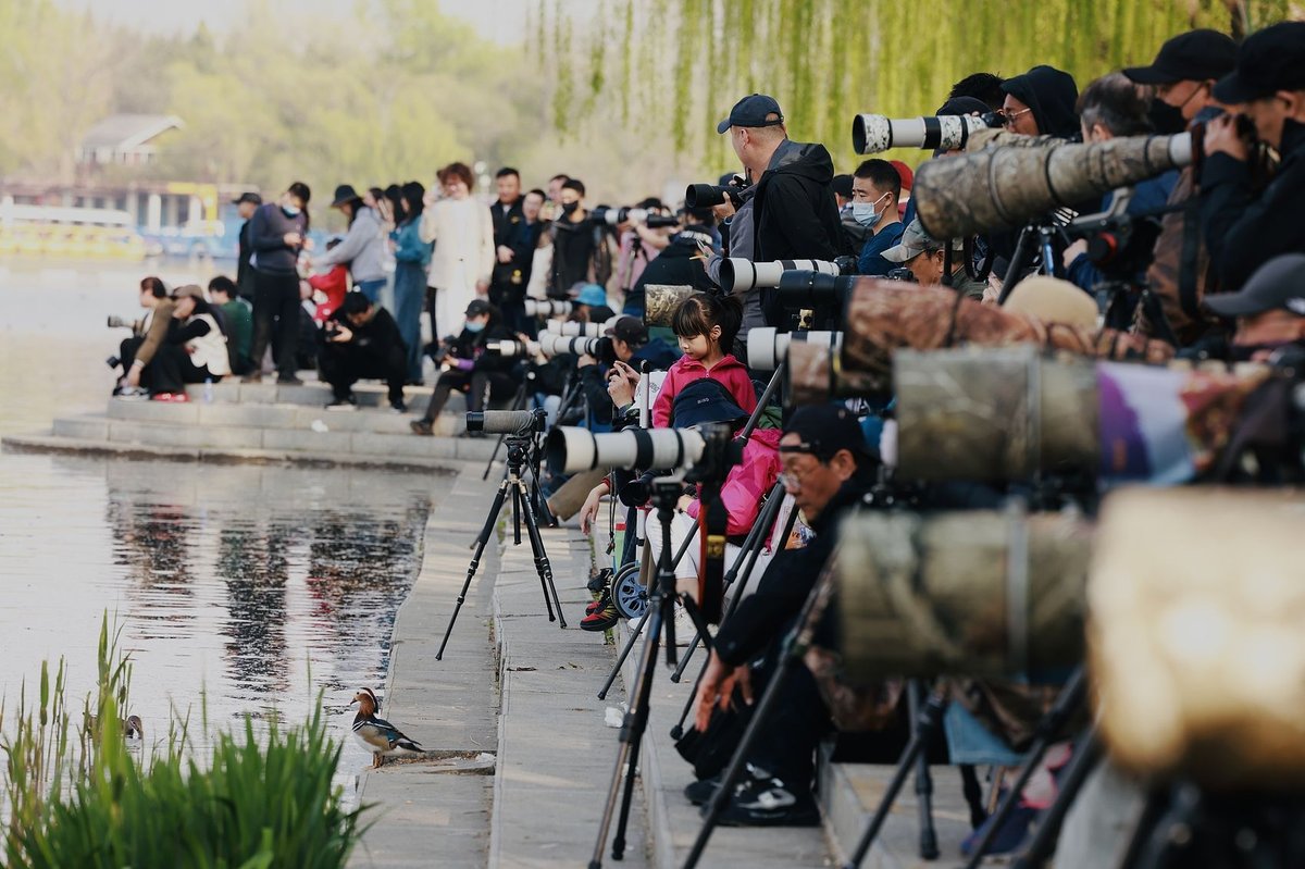 Birding was once predominantly a pastime for retirees, who had the time and financial means to invest in equipment and birdwatching trips