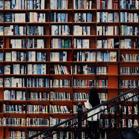 Chinese woman looking at books in bookstore, book influencer business china