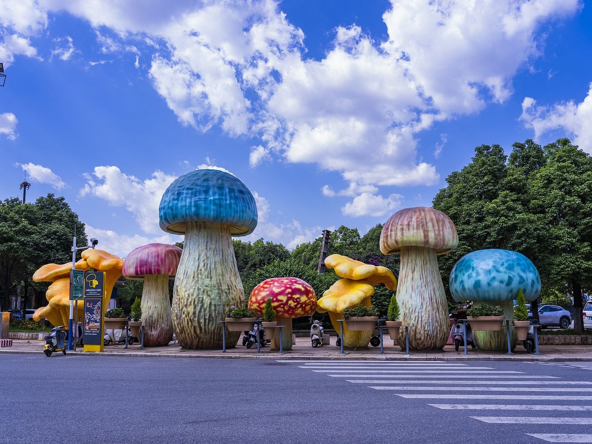 Colorful wild mushroom sculptures line a street in Kunming, highlighting the city’s bid to become a cultural and tourism destination celebrating its unique mushroom culture