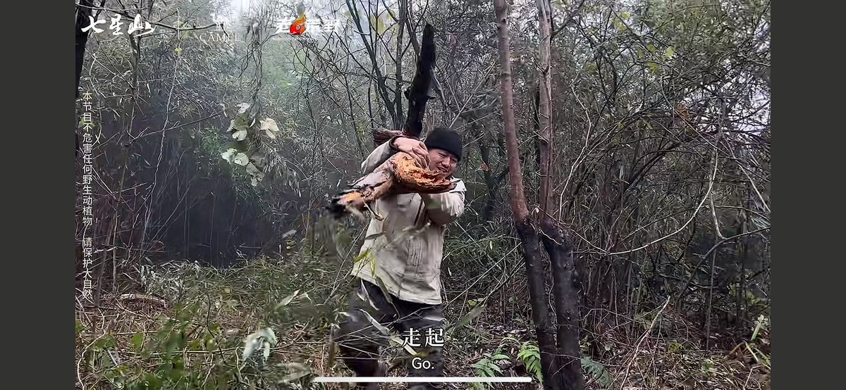 a contest holding the firewood at the survival contest in Zhangjiajie