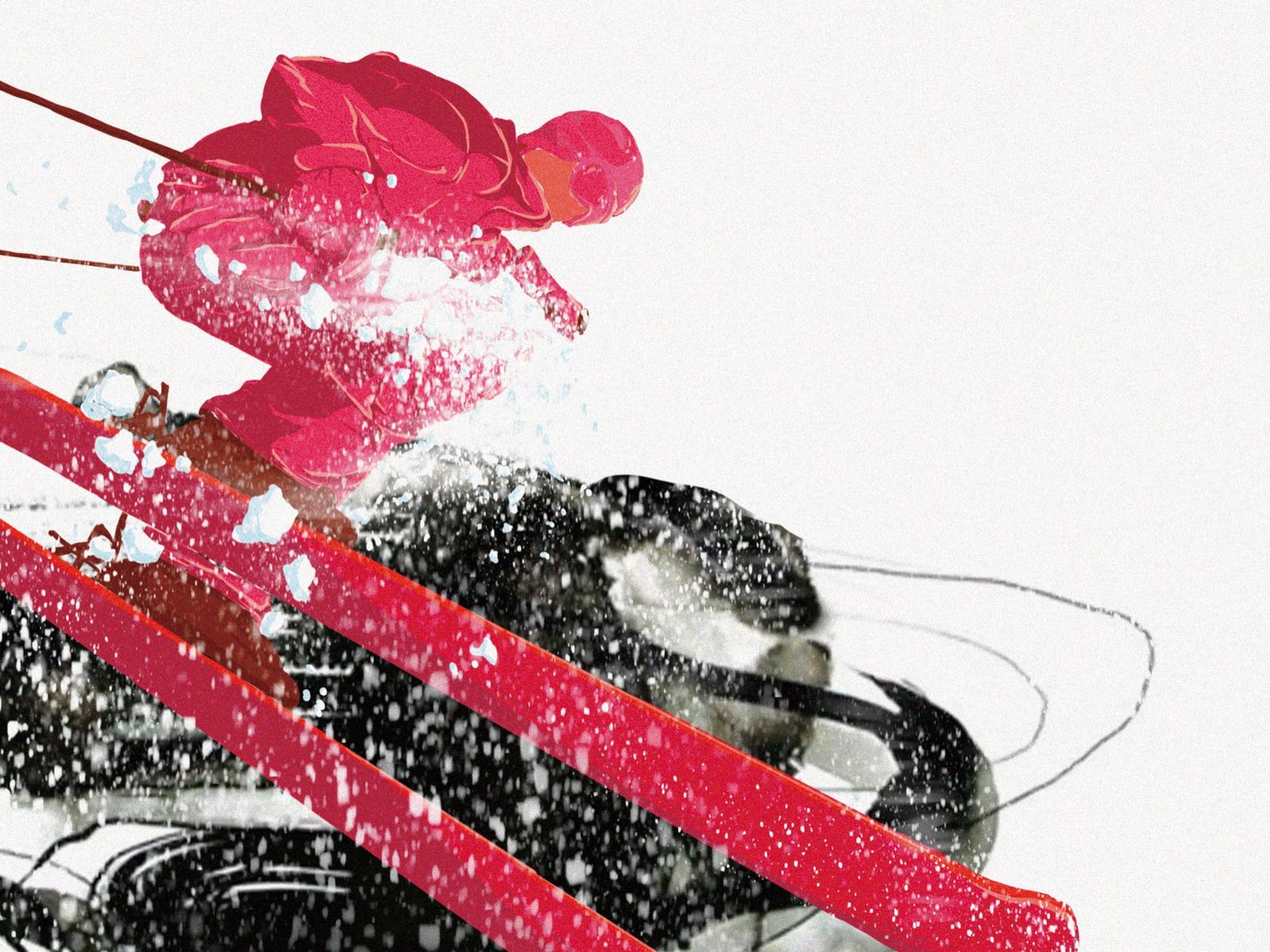 Matter of Import Cover