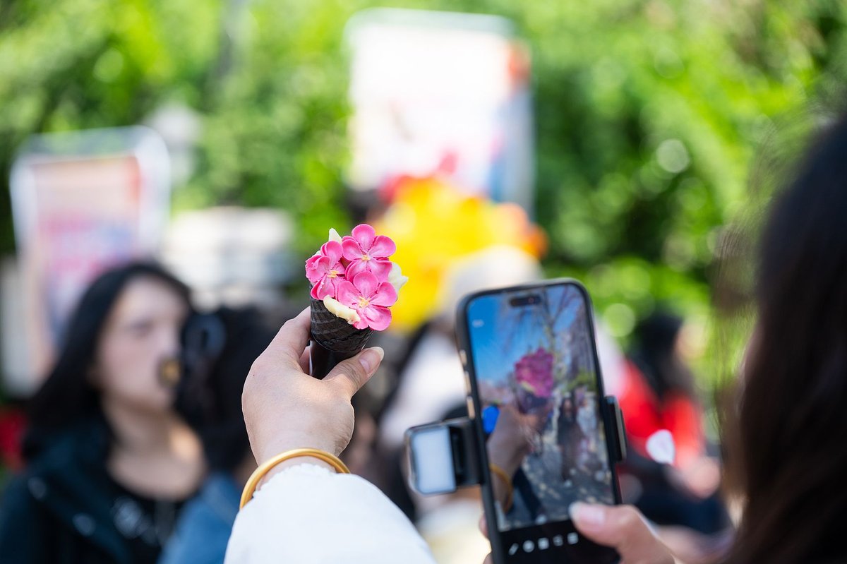 crabapple blossom-shaped ice cream in Tianjin
