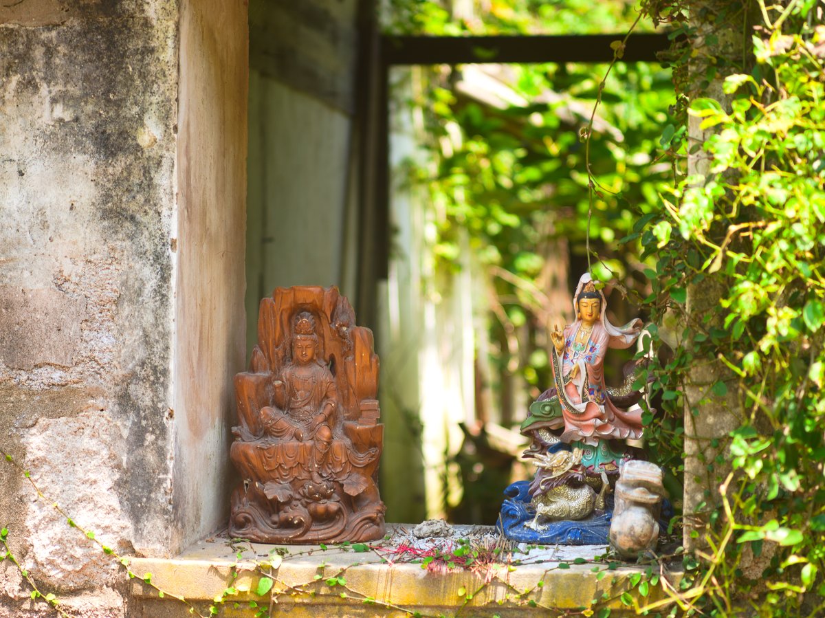 Two statues of Guanyin, found in the window of an abandoned house on Putuoshan’s northwest side