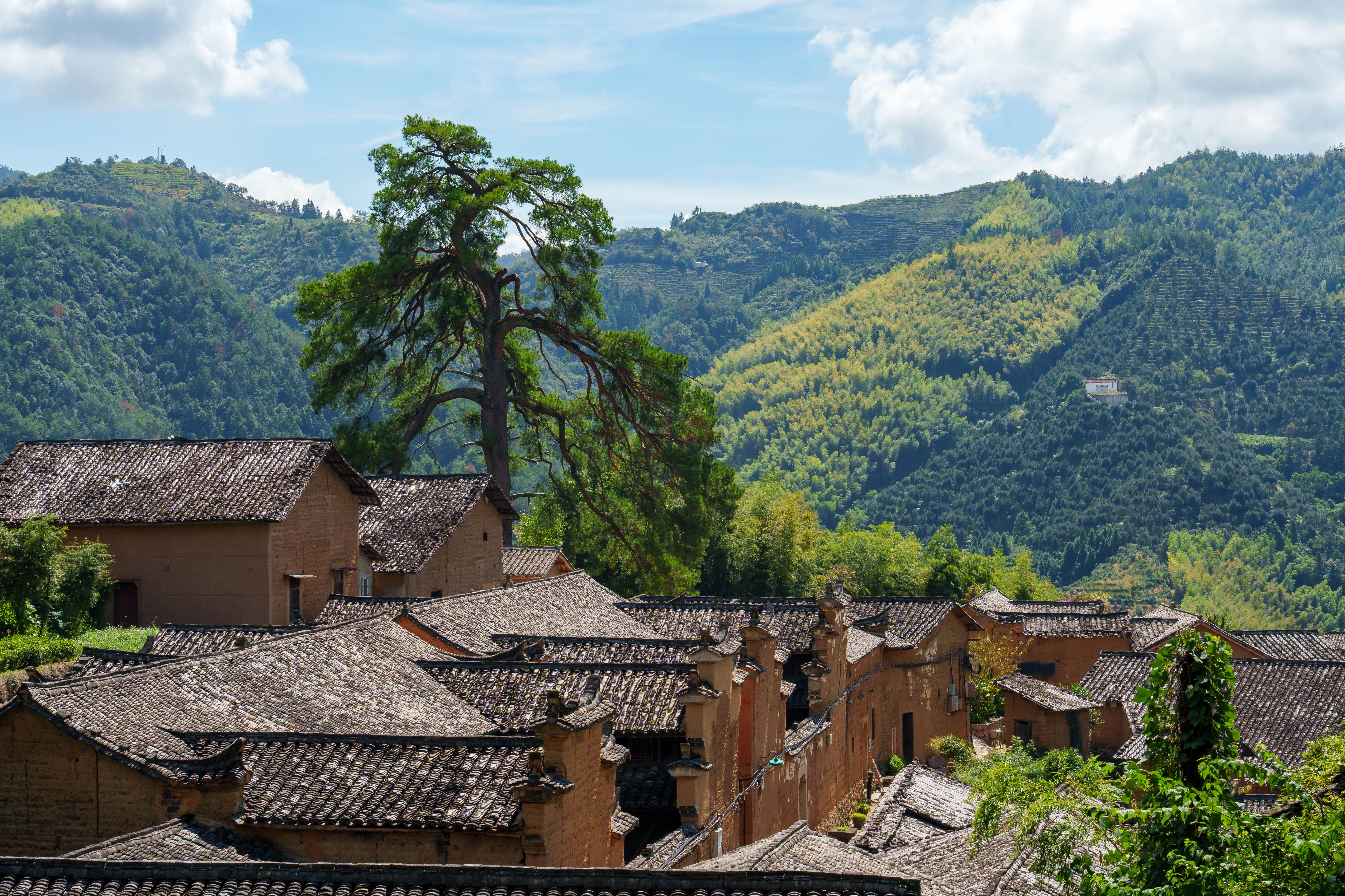 How a Small Chinese Village Is Welcoming Translators Worldwide