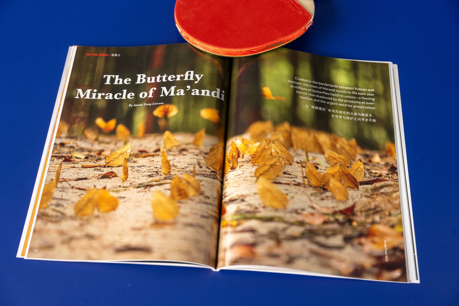 butterfly valley in Yunnan, New Magazine Issue: Urban Renewal