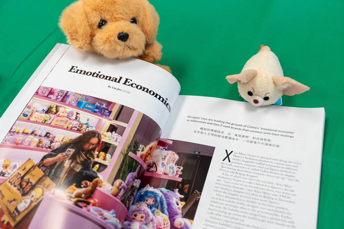 emotional economy in China, New Magazine Issue: New Markets, Young Makers