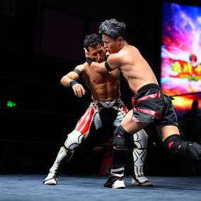 Wrestling cover