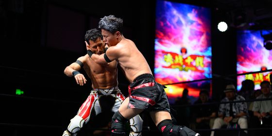 Wrestling cover