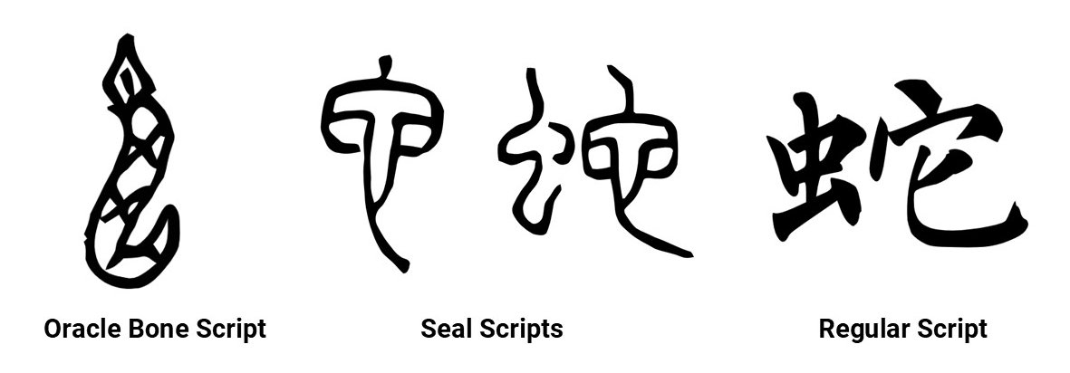 Evolution of the character for snake