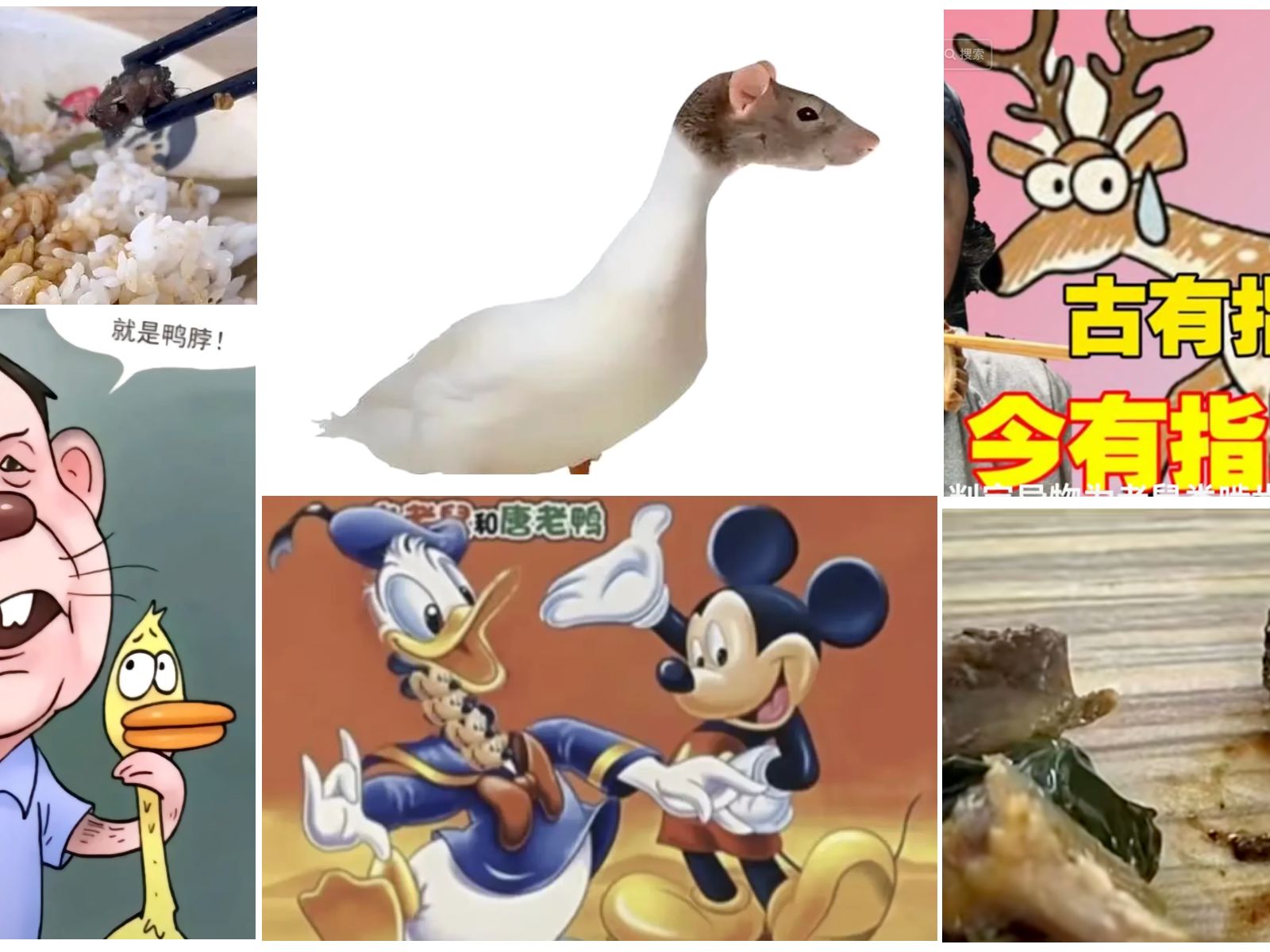 Rat meme collage