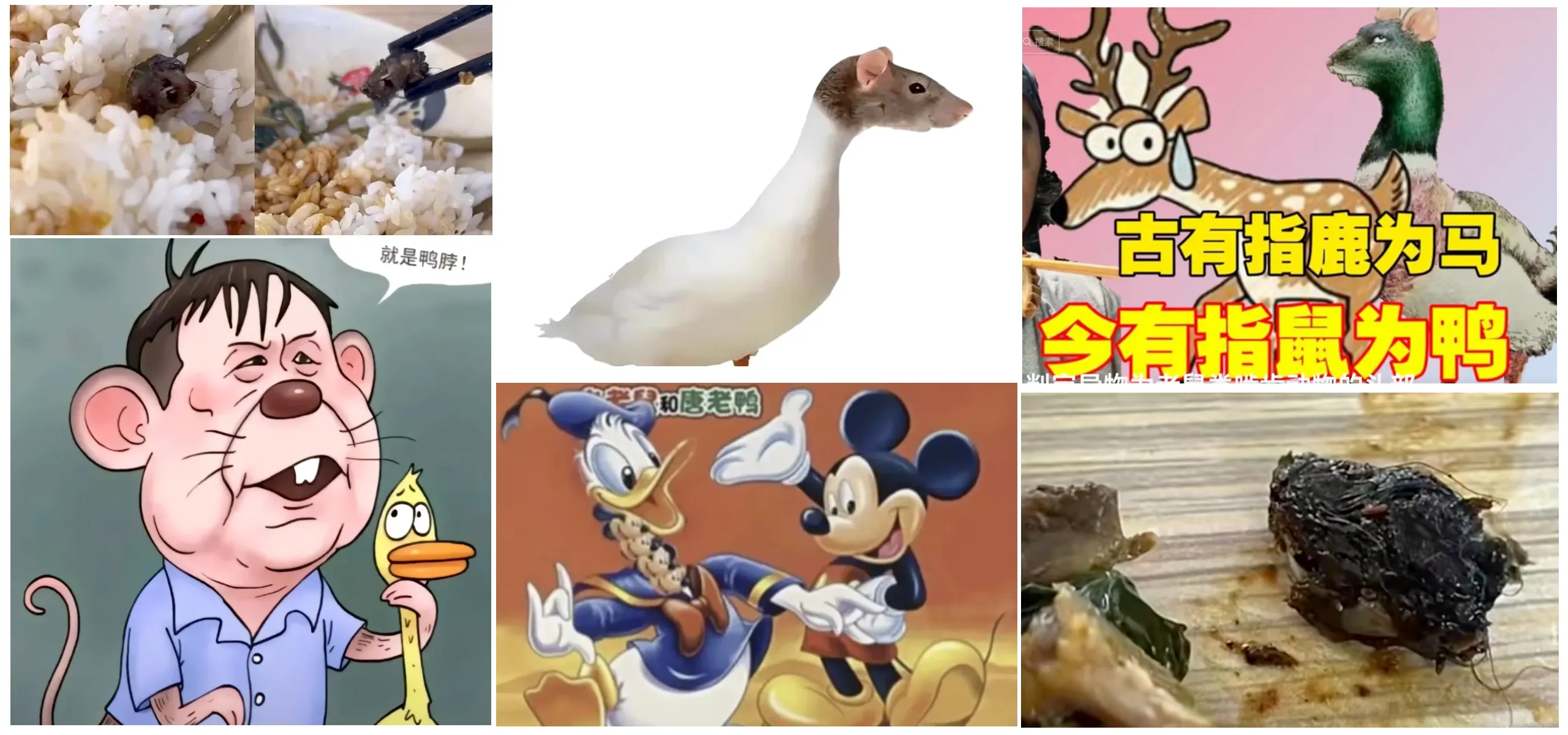 Rat meme collage