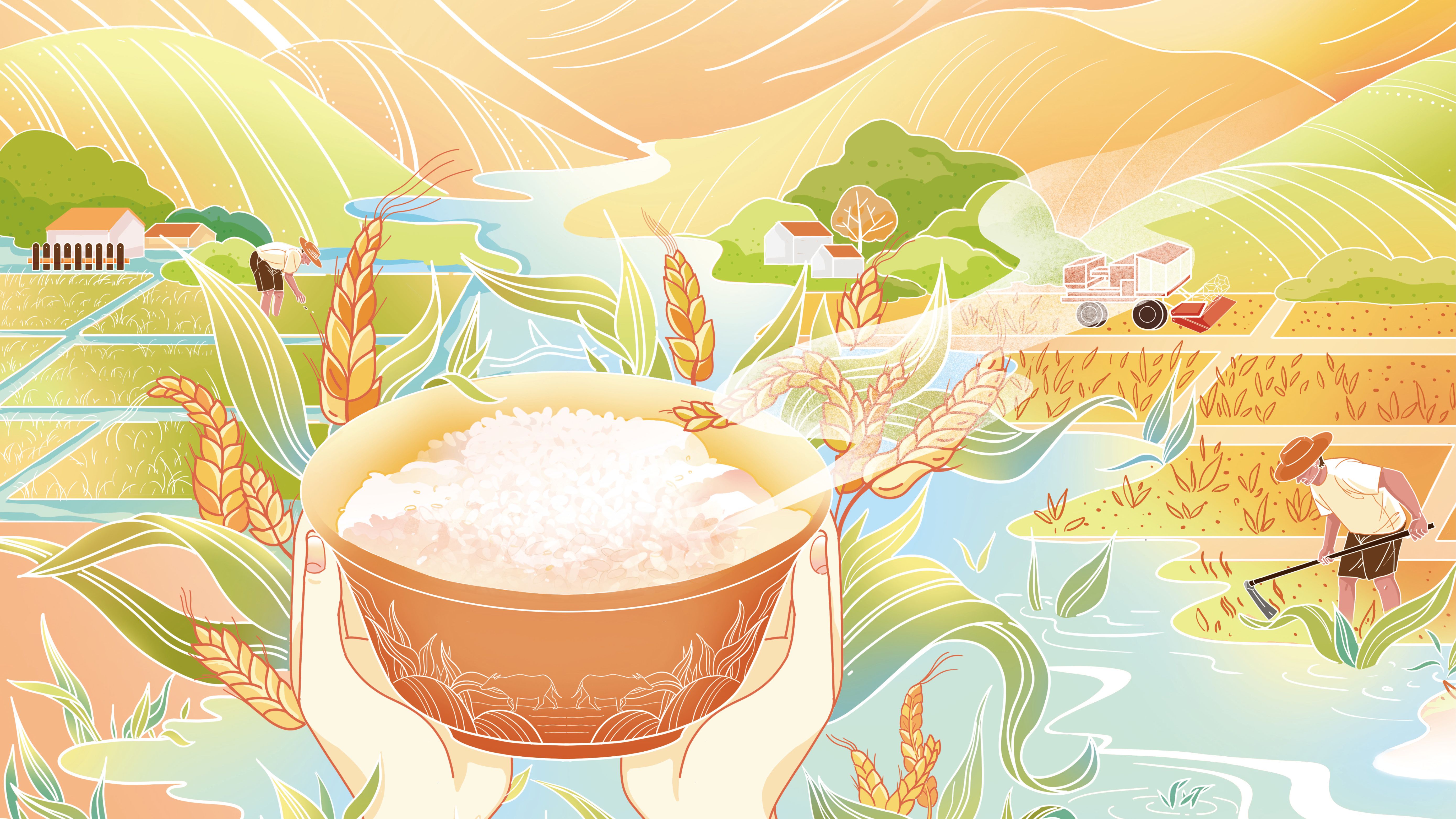 Protecting the Rice Bowl China’s Relentless Quest for Food Security