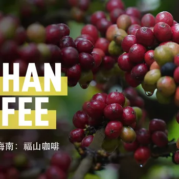 Fushan Coffee