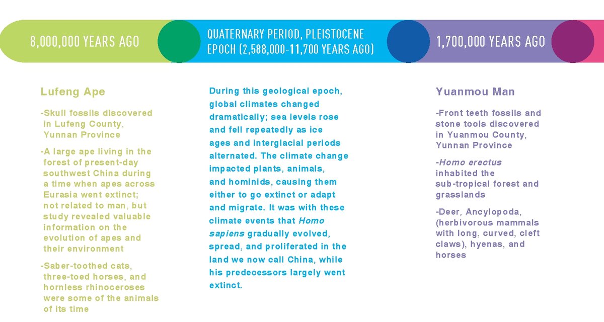 China’s prehistoric discoveries, timeline including Lufeng Ape and Yuanmou Man