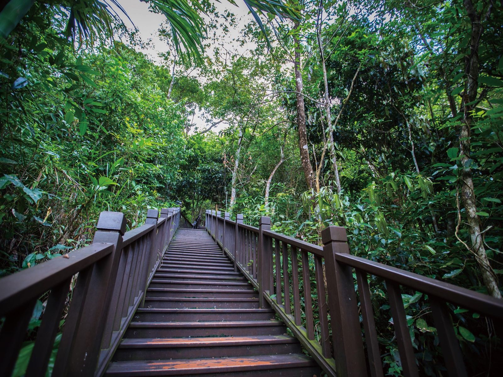 Hainan mountains1