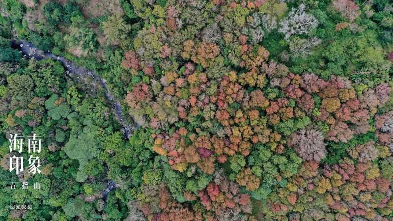 An aerial shot of fall colors in the Wuzhi Mountains (InterPhoto)